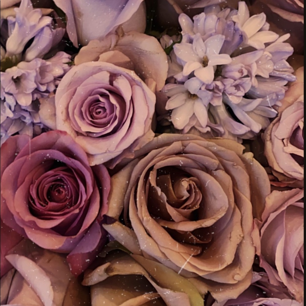 Meet your Posher, Andrea